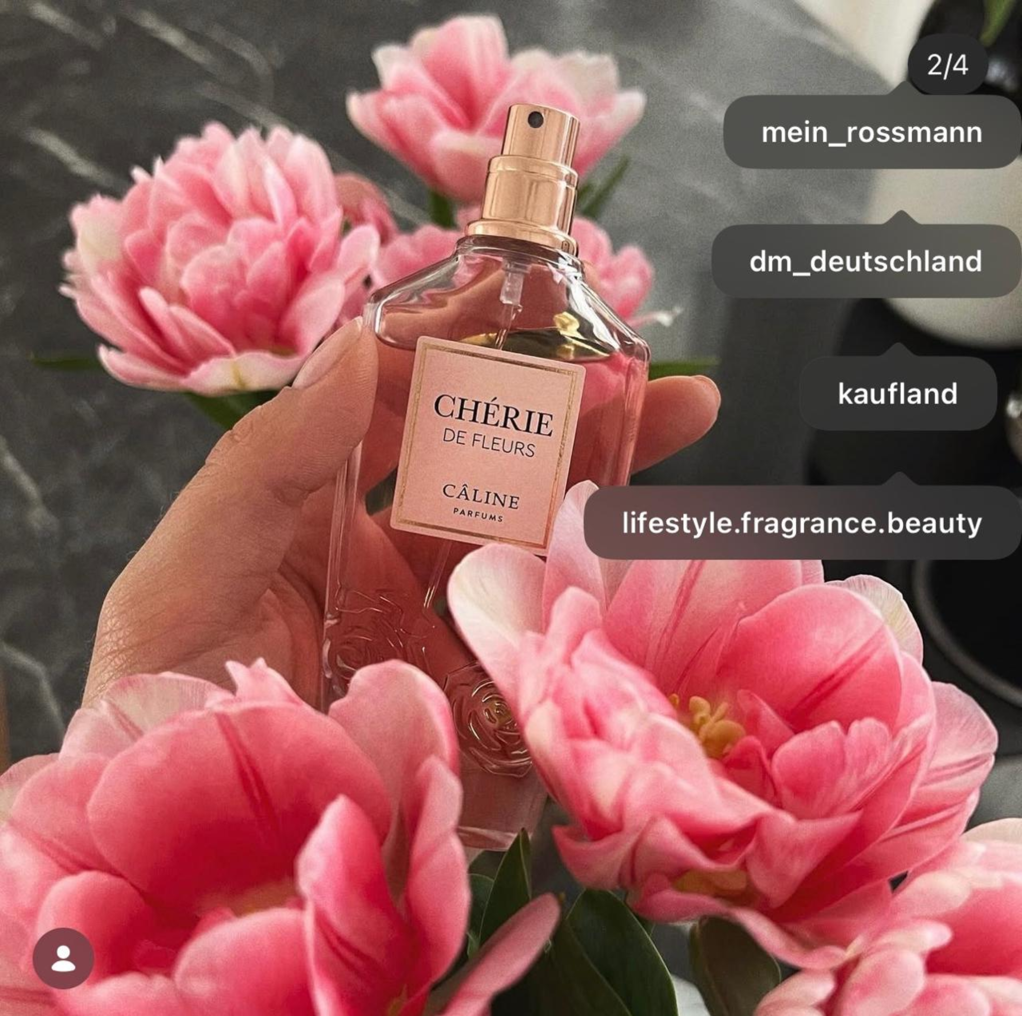 Markengerechter Beauty- und Produktcontent